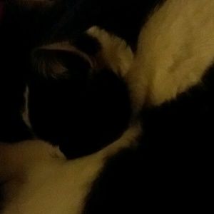 Meet your Posher, Pat